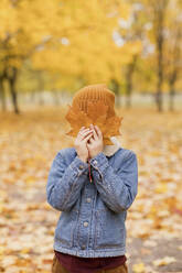 Verspielter Junge bedeckt sein Gesicht mit einem gelben Ahornblatt im Herbstpark - ONAF00672