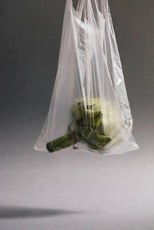 Single artichoke in plastic bag - JUBF00455