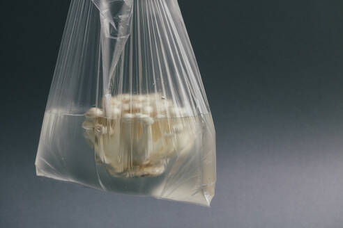 White mushrooms in plastic bag filled with water - JUBF00458