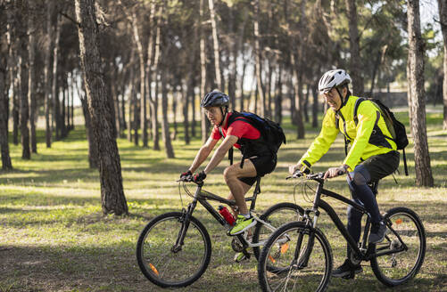 Mature men wearing helmets and riding bicycles in forest on sunny day - JCCMF10911