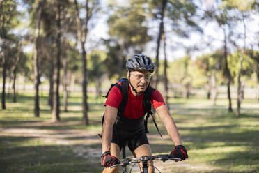 Älterer Mann, der einen Helm trägt und im Wald Fahrrad fährt - JCCMF10912