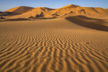 Aerial View of sand dunes at sunset in the Sahara desert, Djanet, Algeria, Africa. - AAEF22974