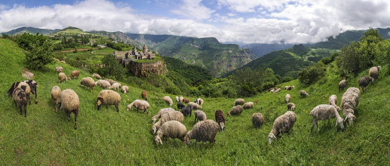 Luftaufnahme von Schafen, die in der Nähe des Klosters Tatev auf den Felsen grasen, einer Klosteranlage mit Blick auf das Tal und die Berge, Tatev, Provinz Syunik, Armenien. - AAEF23003