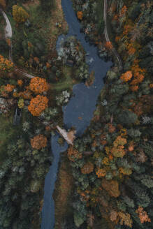 Aerial view of Ahja river running under Otteni bridge beside colourful autumn forest, Polvamaa, Estonia. - AAEF23277