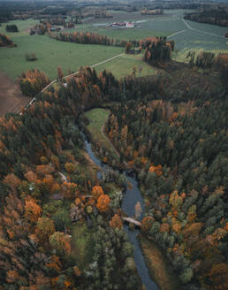 Aerial view of Ahja river running under Otteni bridge beside colourful autumn forest, Polvamaa, Estonia. - AAEF23278