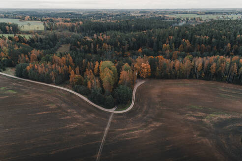 Aerial view of curvy road between field and colourful forest in autumn, Polvamaa, Estonia. - AAEF23280