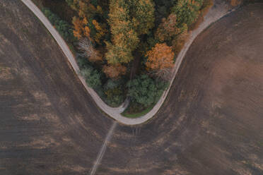 Aerial view of curvy road between field and colourful forest in autumn, Polvamaa, Estonia. - AAEF23281