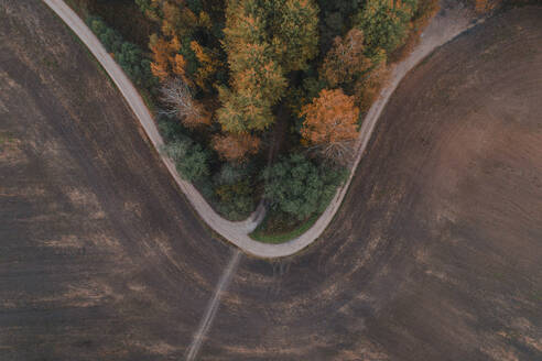 Aerial view of curvy road between field and colourful forest in autumn, Polvamaa, Estonia. - AAEF23281