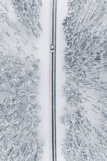 Aerial view of a car on cold winter day driving in a snowy pine forest, Lahemaa National Park, Harjumaa, Estonia. - AAEF23291