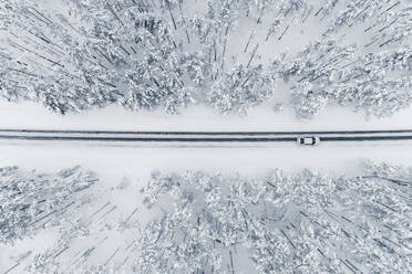 Aerial view of a car on cold winterday driving in a snowy pine forest, Lahemaa National Park, Harjumaa, Estonia. - AAEF23292