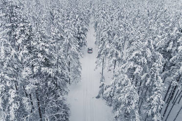 Aerial view of a car on cold winterday driving in a snowy pine forest, Lahemaa National Park, Harjumaa, Estonia. - AAEF23295