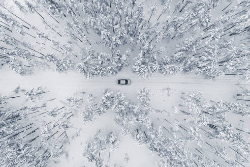 Aerial view of a car on cold winterday driving in a snowy pine forest, Lahemaa National Park, Harjumaa, Estonia. - AAEF23296