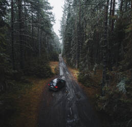 Aerial view of a car in moody forest on a muddy road, Lahemaa National Park, Harjumaa, Estonia. - AAEF23298