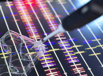 Übertragen der DNA-Probe mit der Pipette in die Multiwell-Platte - ABRF01096