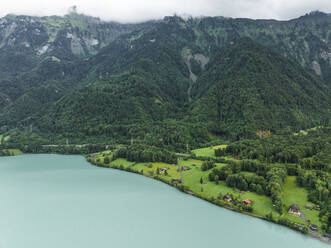 Aerial view of a few houses along the Brienzersee Lake coastline in summertime, Bern, Switzerland. - AAEF23402