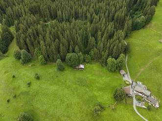 Aerial view of an isolated house near the forest along the Bernese Alps mountains, Grindelwald, Swiss Alps, Canton of Bern, Switzerland. - AAEF23433