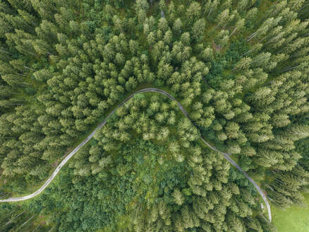 Aerial view of a walking path across the forest with trees in Grindelwald, Bernese Alps, Swiss Alps, Bern, Switzerland. - AAEF23434