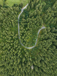 Aerial view of a walking path across the forest with trees in Grindelwald, Bernese Alps, Swiss Alps, Bern, Switzerland. - AAEF23436