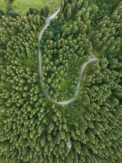 Aerial view of a walking path across the forest with trees in Grindelwald, Bernese Alps, Swiss Alps, Bern, Switzerland. - AAEF23436