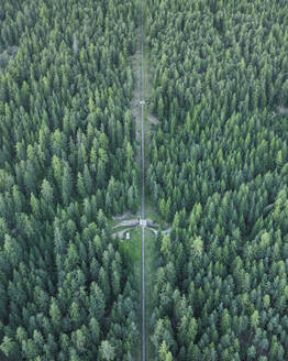 Aerial view of the cable car from Ortisei to Rasciesa, a mountain peak on the Dolomites in Trentino, South Tyrol in Northern Italy. - AAEF23547