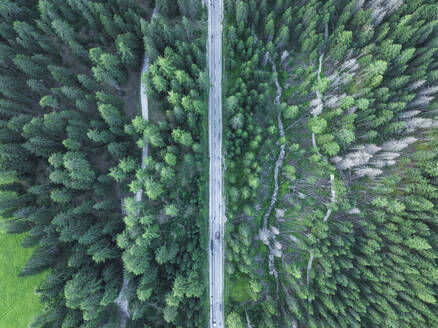 Aerial view of a mountain road crossing the forest with trees across Fanes-Senes-Braies Nature Park, Dolomites, Trentino, South Tyrol, Italy. - AAEF23648