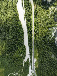 Aerial view of vehicles driving on a mountain road with forest trees near Landro Lake (Durrensee) on Dolomites area, Upper Val Pusteria, Trentino, South Tyrol, Italy. - AAEF23665