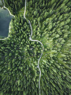 Aerial view of a road crossing the forest with trees at Misurina Lake, Auronzo di Cadore, Dolomites, Veneto, Italy. - AAEF23680