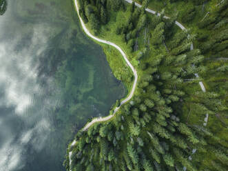 Aerial view of Misurina Lake coastline with forest along the coast at sunset, Auronzo di Cadore, Dolomites, Veneto, Italy. - AAEF23686