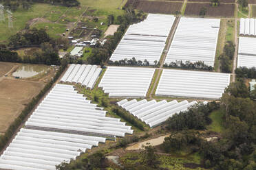 Luftaufnahme von landwirtschaftlichen Zelten, die wertvolle Setzlinge vor den Elementen schützen, Victoria, Australien. - AAEF23864