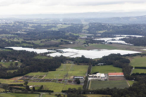 Luftaufnahme von hohen Stromleitungen über landwirtschaftlichen Feldern, Victoria, Australien. - AAEF23866
