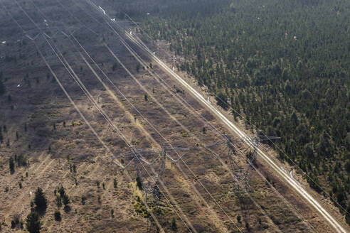 Aerial view of Electricity Lines Amongst Pine Forest, Victoria, Australia. - AAEF23942