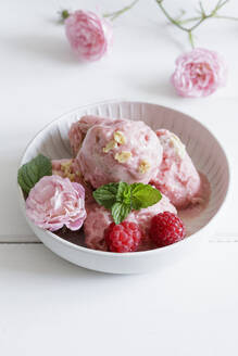 Studio shot of bowl of raspberry nice cream with roasted oatmeal - EVGF04400