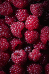 Full frame of ripe raspberries - EVGF04404