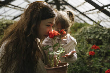 Mutter trägt Tochter und riecht an roten Blumen im Gewächshaus - YBF00302