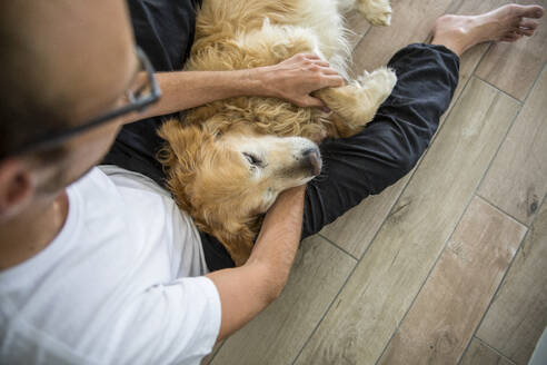 Mann streichelt Golden Retriever Hund auf Hartholzboden - MAMF02901