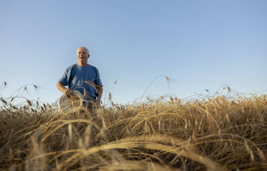 Senior man holding straw hat and standing in wheat field - MBLF00124