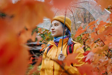 Smiling woman holding umbrella in autumn park - YTF01365