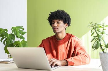 Geschäftsmann mit lockigem Haar arbeitet am Laptop im Büro zu Hause - ALKF00806