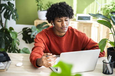 Young freelancer working on laptop at home office - ALKF00813