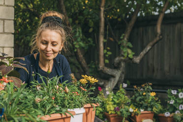 Smiling woman examining flowers from pots in garden - ADF00249