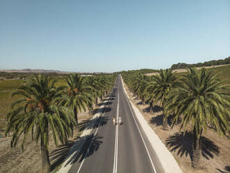 Aerial view of a road surrounded with palmtrees and a couple standing on the road, South Australia. - AAEF23984