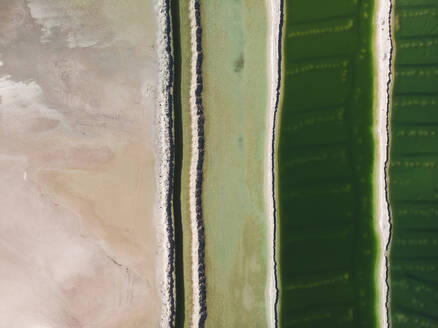 Aerial view of a salt mine with different hues of green, Western Australia. Top down perspective. - AAEF24024