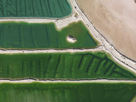 Aerial view of a salt mine with different hues of green and salt dividers running horizontally through the image, Western Australia. Top down perspective. - AAEF24026