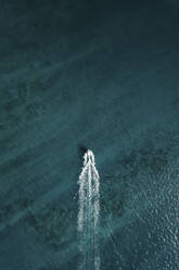 Aerial view of a boat driving in clear blue water, top down perspective, Western Australia. - AAEF24037