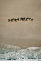 Aerial view of camels walking on a beach with people riding on their back that are casting shadows in the sand and waves crashing on the beach, Broome, Western Australia. - AAEF24039