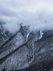 Aerial view of Winter Foggy Forrest, Old Mountain, Bulgaria. - AAEF24125