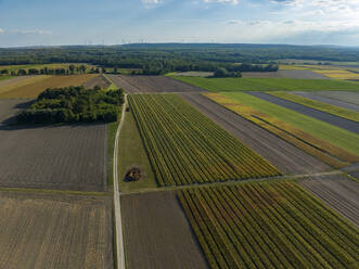 Aerial view of crops, forest, and countryside on a late summer day as the sun begins to set with wind turbines in the distance, Wagram An Der Donau, Lower Austria, Austria. - AAEF24137