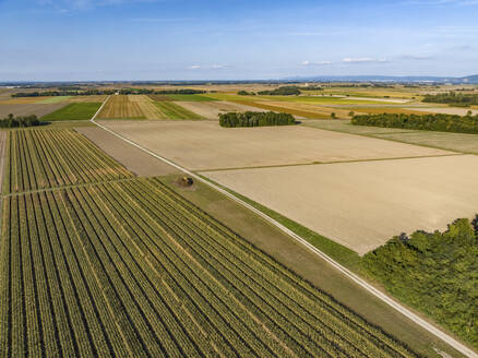 Aerial view of crops, forest, and countryside on a late summer day as the sun begins to set with mountains in the distance, Wagram An Der Donau, Lower Austria, Austria. - AAEF24138