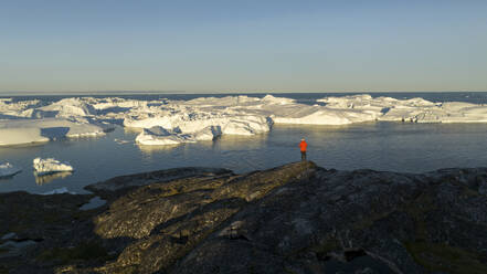 Drohnenaufnahme einer Person in Rot, die den Ilulissat-Eisfjord voller Eisberge beobachtet, Grönland, Arktis. - AAEF24189