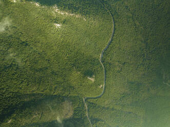 Luftaufnahme einer Bergstraße durch den Wald auf der Seite des Monte Terminio in der Nähe von Ripe della Falconara, Serino, Kampanien, Avellino, Italien. - AAEF24225